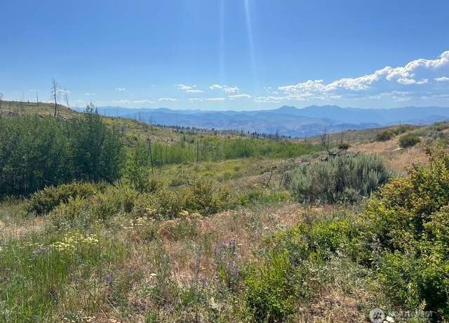 Property at 0 Lot 12 Lone Spur Rd, Oroville, WA 98844