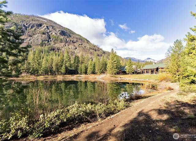 Property at 21 Early Winters Dr, Mazama, WA 98833