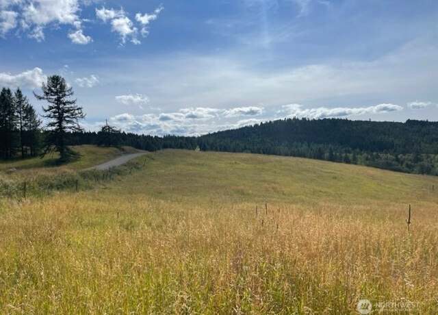 Property at 111 TBD Davies Rd, Oroville, WA 98844