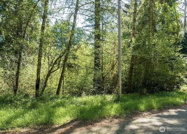 Property at 10515 Edgewood Dr, Anderson Island, WA 98303