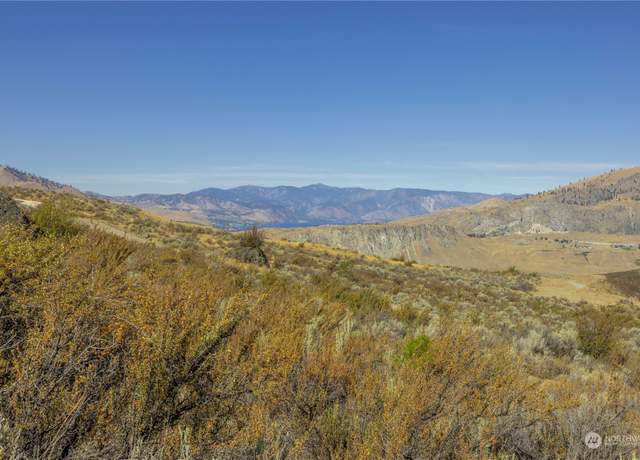 Property at 0 LOT 4 McNeil Canyon Rd, Orondo, WA 98843