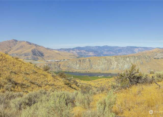 Property at 0 LOT 3 McNeil Canyon Rd, Orondo, WA 98843