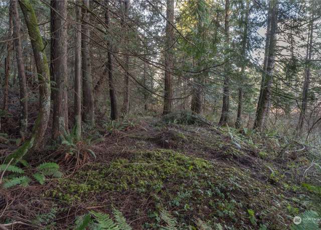 Property at 0 Trout Ln, Brinnon, WA 98320