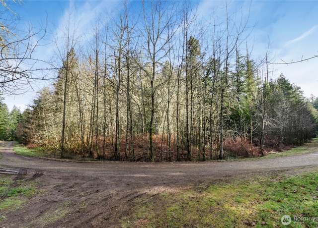Property at 8211 128th Avenue Ct, Anderson Island, WA 98303