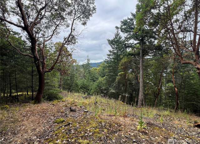 Property at 0 XXX Palisades Dr, Eastsound, WA 98245