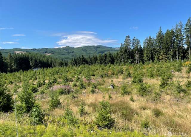Property at 0 Pe Ell McDonald Rd, Boistfort, WA 98532
