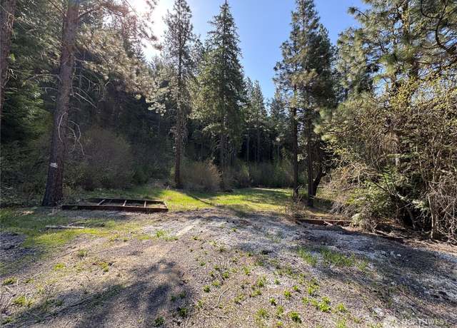Property at 0 US 2, Lake Wenatchee, WA 98826