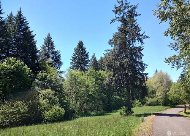 Property at 0 NE 294th Cir, La Center, WA 98629
