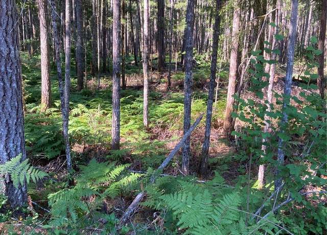 Property at 341 N Rainbow Way W, Hoodsport, WA 98548