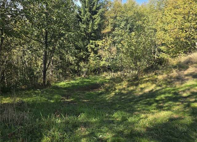 Property at 0 2500 Rd, Toutle, WA 98649
