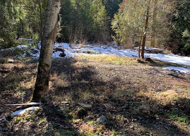 Property at 47 XX 250th Ave SE, Issaquah, WA 98029