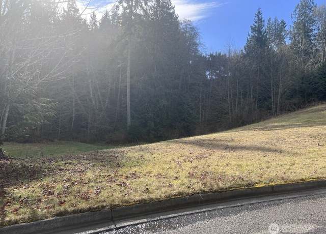 Property at 0 Lot 17 Delguzzi Dr, Port Angeles, WA 98362