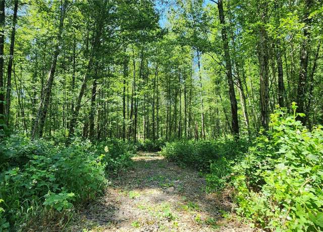 Property at 1230 Silverbrook Rd, Randle, WA 98377
