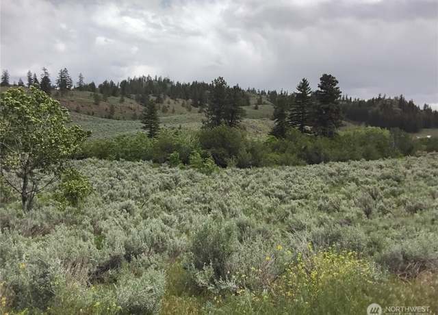 Property at 44 Palmer Mountain Rd, Oroville, WA 98844