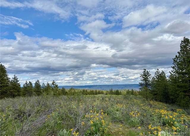 Property at 0 NHN Watson Ln, Chelan, WA 98816