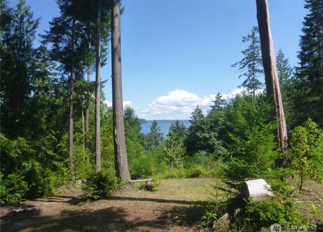 Property at 0 Hwy 101, Brinnon, WA 98320
