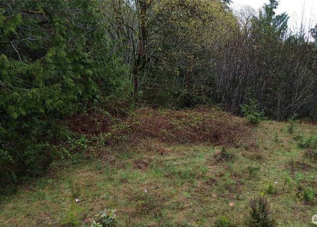 Property at 390 N Seagull Way, Lilliwaup, WA 98555