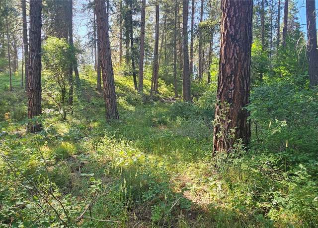 Property at 21815 Colt Rd, Leavenworth, WA 98826