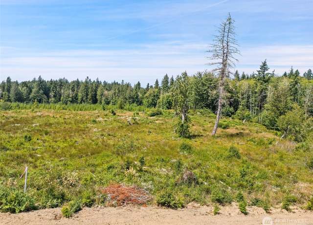 Property at 0 TR3 SE Wellswood Way, Shelton, WA 98584