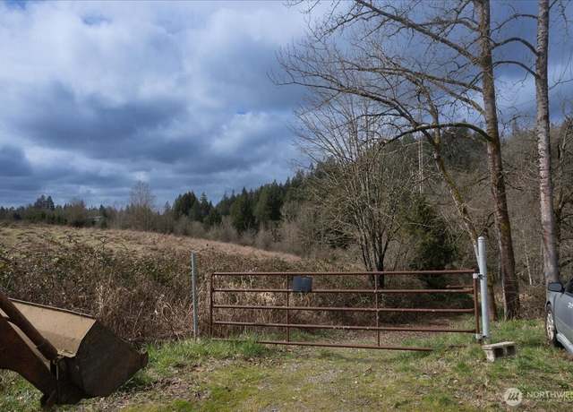 Property at 0 NE 339th St, La Center, WA 98629
