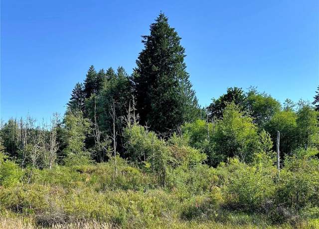 Property at 0 Basie Rd, Castle Rock, WA 98611
