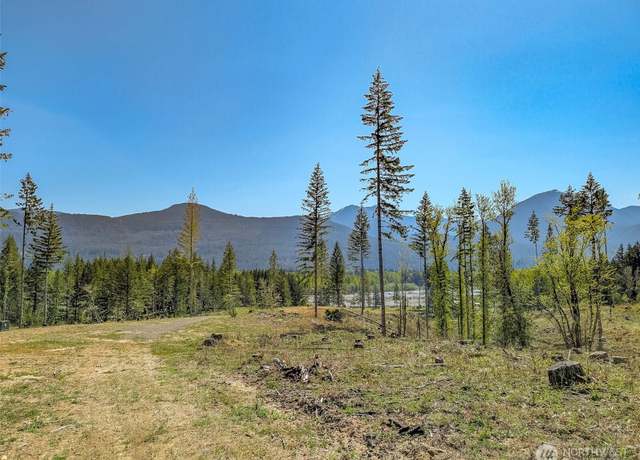 Property at 0 Craig Rd Lot A2, Packwood, WA 98361