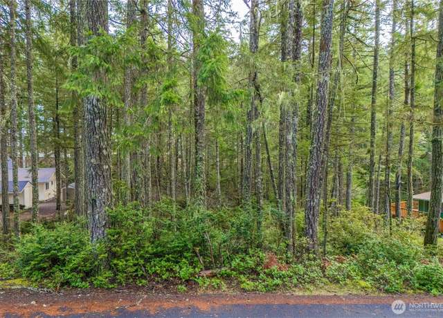 Property at 651 E Vine Maple Ln, Union, WA 98592