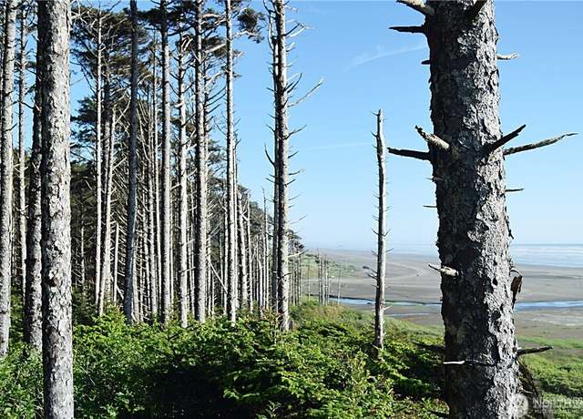 Property at 5 & 6 Roosevelt Beach Lots, Pacific Beach, WA 98571