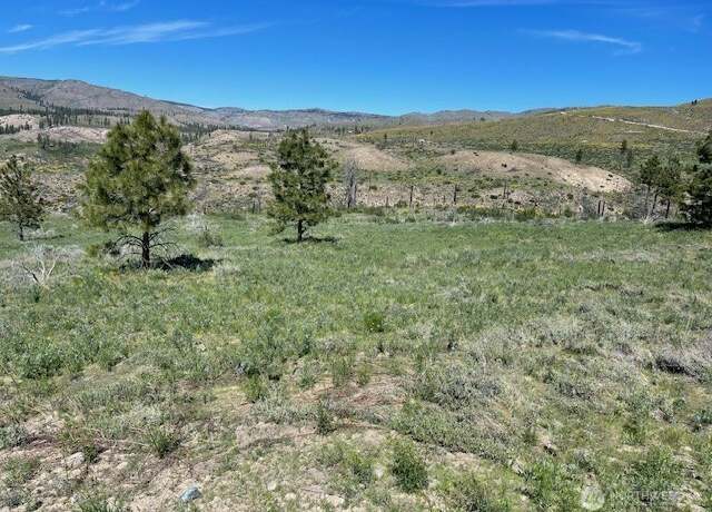 Property at 15 Sawtooth View Rd, Pateros, WA 98846