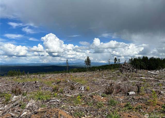 Property at 0 NKA 710 X Rd, Castle Rock, WA 98611