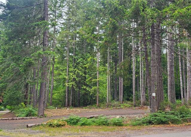 Property at 0 N Mt Jupiter Dr, Hoodsport, WA 98548