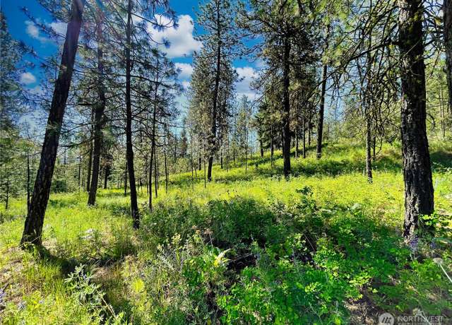 Property at 39300 Porcupine Bay Rd N, Davenport, WA 99122