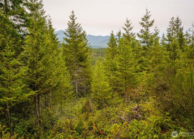 Property at 0 N Hamma Ridge Ct, Lilliwaup, WA 98555