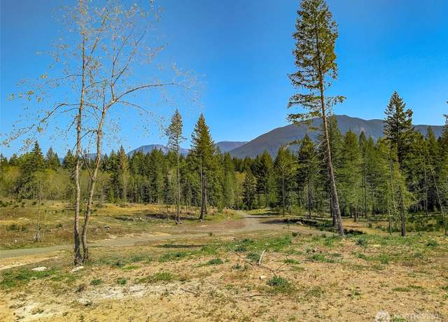 Property at 0 Craig Rd Lot A3, Packwood, WA 98361