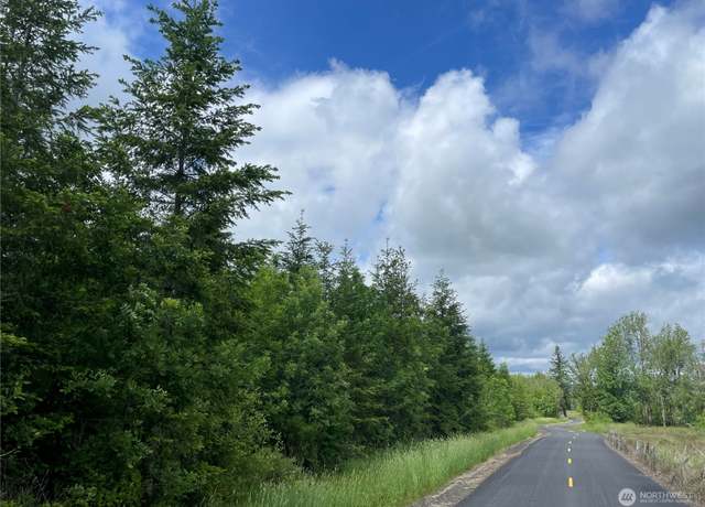 Property at 0 NKA Finkas Rd, Toutle, WA 98649