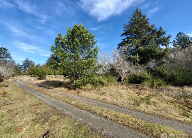 Property at 0 N Oysterville Rd @ Cmtry Rd, Oysterville, WA 98641