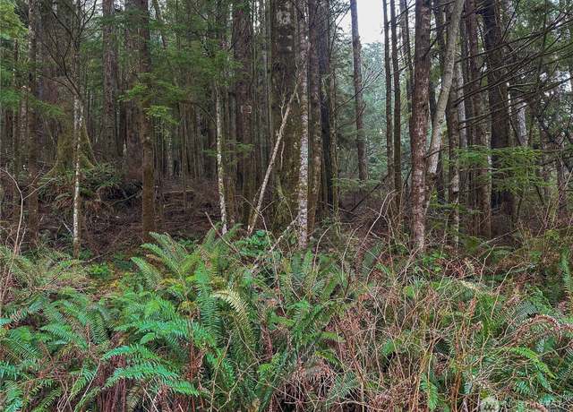 Property at 0 TR 15 Salal Dr, Copalis Beach, WA 98535