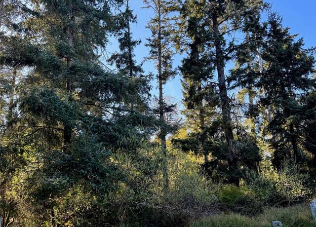Property at 186 Murphy Ct SE, Ocean Shores, WA 98569