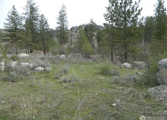 Property at 0 TBD Six Gun Way, Tonasket, WA 98855