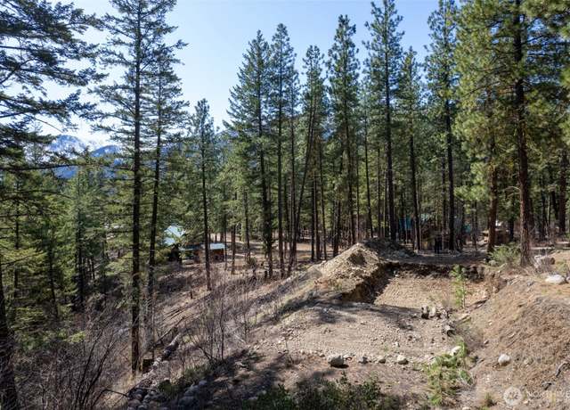 Property at 94 Homestead Rd, Winthrop, WA 98862