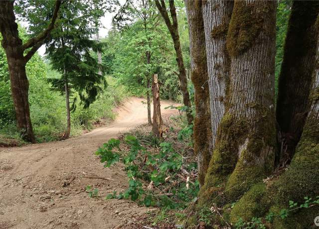 Property at 123 NE Tahuya River Rd, Belfair, WA 98528