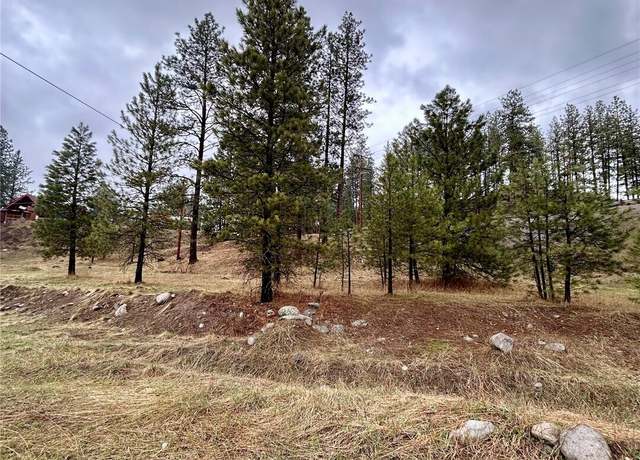 Property at 0 S Clark Ave, Republic, WA 99166