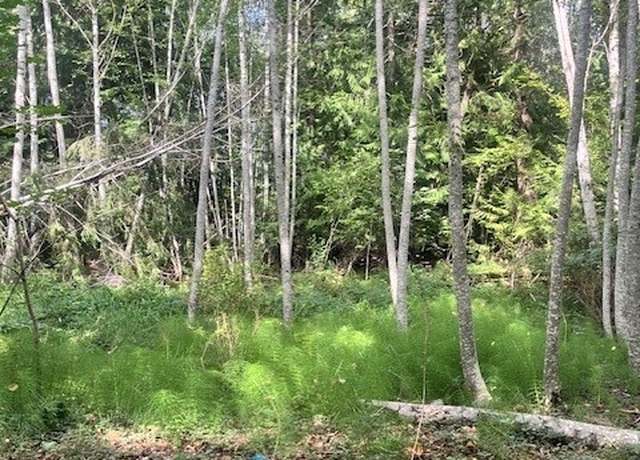 Property at 70 E Lupine Pl, Shelton, WA 98584