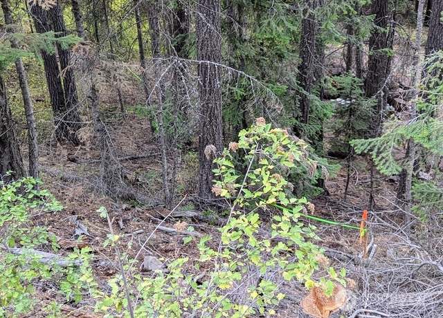 Property at 0 XX Sawmill Rd, Cle Elum, WA 98922