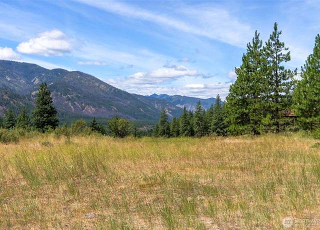 Property at 58 Homestead Rd, Winthrop, WA 98862