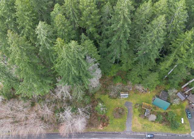 Property at 0 Skate Creek Rd N, Eatonville, WA 98328