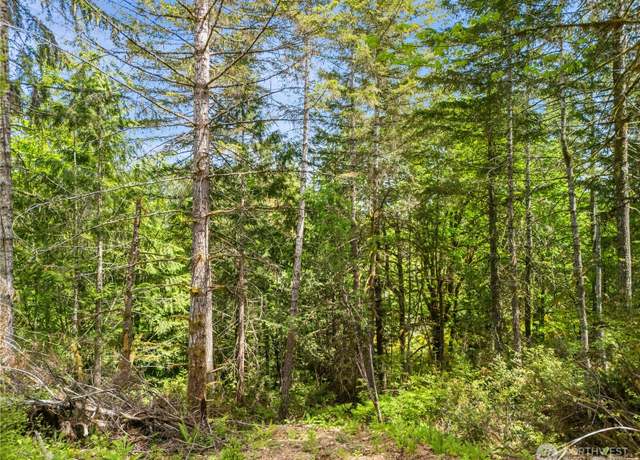 Property at 0 E Gerbing View Dr, Union, WA 98592