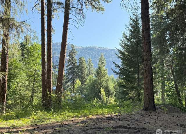 Property at 41 TBD Davelaar Dr, Mazama, WA 98833