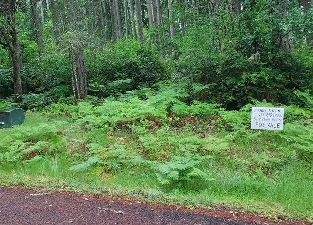 Property at 12721 100th St, Anderson Island, WA 98303