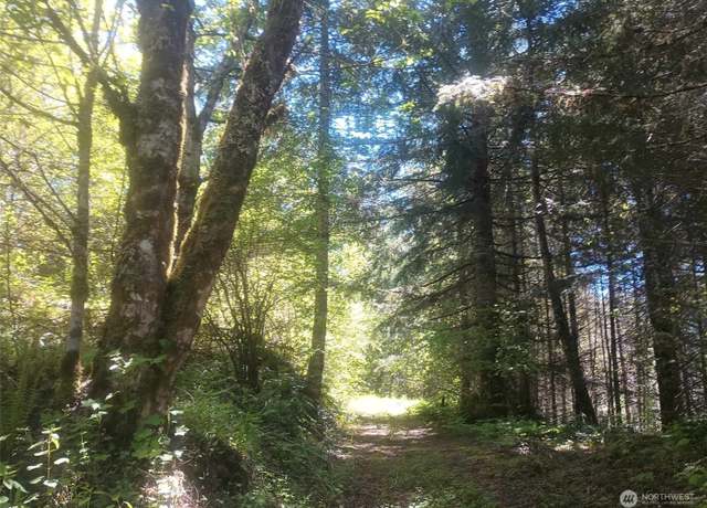 Property at 0 Lot 7 Buck Dr, Randle, WA 98377